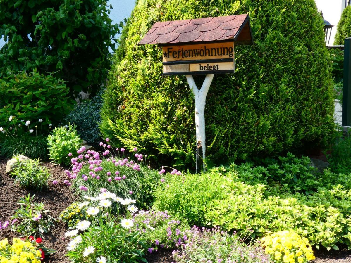 Ferienwohnung Grunwald Kurort Rathen Esterno foto